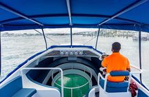 Bahamas on a Semi Submersive Glass Bottom Boat