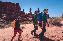 Arches Full Day Small Group Tour 