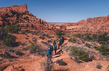 Arches Full Day Private Tour and Hike
