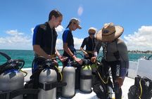 3 Days Open Water Diving Course in Punta Cana