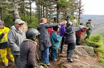Private Port of Sydney-Cape Breton Highlands ATV Excursion 