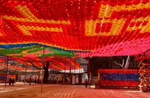 Private Full-Day Guided Tour in Seoul with Lunch, Tea and Dinner