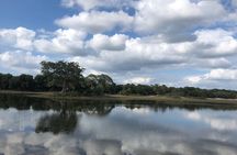 Wilpattu Safari tour from Negombo