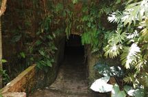 Private Tour to Chichen Itza and Cenote Tsukán PREMIUM