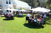 Napier Gourmet Luncheon + Winery & Gin Taste ( no gin Mon - Wed )