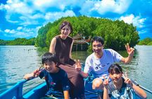 Bali Tropical Snorkeling and Mangrove Cruise