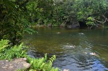 Afternoon & Evening Tour of Paronella Park