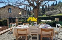 Homemade Pasta Class and Lunch in the Heart of Chianti