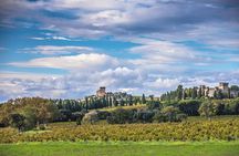 Half-Day Winery and Wine Tasting Guided Walking Tour