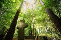 Courtown Woodland Guided Tour