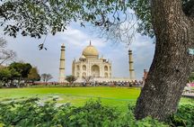 From Delhi : Luxury Taj Mahal Tour By Luxury Car- All Inclusive