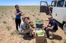  Gobi and Grassland Mongolia 7N8D