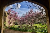 Private Half-Day Guided Tour in Oxford 