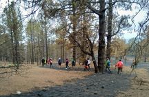 Full Day Tour with Hiking to the Tajogaite Volcano