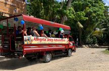 Tour To The Damajagua Waterfalls