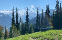 Mount Rainier Day Hike