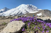 Mount Rainier Day Hike
