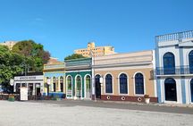 The Manaus City Tour and Meeting of the Waters