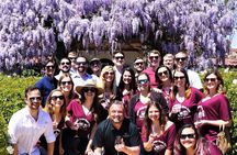 Sunday Special Wine Tour in Temecula Valley with Lunch
