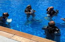  PADI Open Water Diving Course in Dubai for 3 Days
