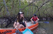  Sunrise Paddling in Paraty