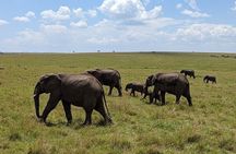 3 Days and 2 Nights Private Safari Tour To MasaiMara