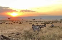 3 Days and 2 Nights Private Safari Tour To MasaiMara