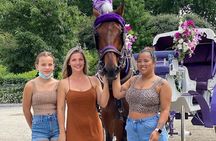 OFFICIAL NYC Central Park Horse Carriage Rides 