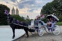 OFFICIAL NYC Central Park Horse Carriage Rides 