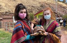 Carriage to Cochahuasi Sanctuary Live A Great Experience 