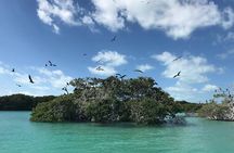 Sian Ka'an Trip from Playa del Carmen & Tulum