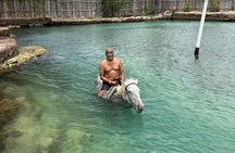 Bamboo Rafting & Horseback Ride n Swim Guided Tour In Montego Bay
