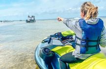 Waverunner Dolphin Tour