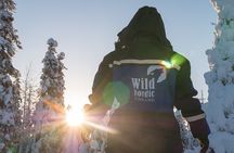 2 Hours Snowmobile Safari to the Levi Nature