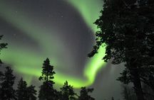 3-Hour Snowmobile Safari to Search Northern Lights in Levi 