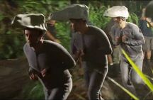 Half Day Deluxe Island Movie Tour: LOST, Jurassic, Pirates