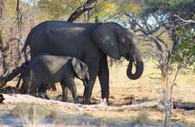 7 Day Moremi Okavango Delight