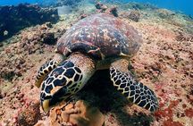 PADI Discover Scuba Diving for Beginners (Non Certified Divers)