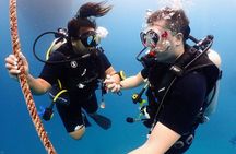 PADI Discover Scuba Diving for Beginners (Non Certified Divers)
