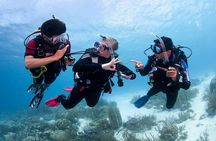 Discover Scuba Diving in Boracay with U/W Photo and Video