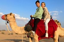 Red Dunes Desert Safari Dubai with Dinner Buffet, Show & Transfer