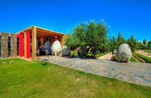 Winery The Enemy + Zapata Angelic Lunch. Private transportation