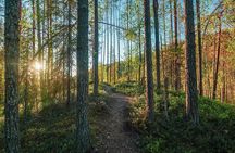 Arctic Wilderness Hike with Fire-making