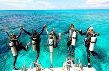Diving Stops Full Day for Beginners with Lunch in Hurghada