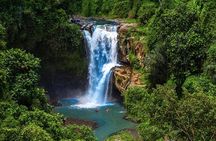 Best of Ubud - All Inclusive