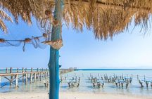 Orange Bay Snorkeling with Lunch 