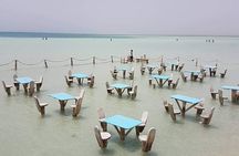 Orange Bay Snorkeling with Lunch 