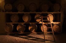 Historical Cellar Visit and Wine Tasting in Salento