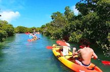 All Inclusive Sandbar Trip With Hidden Kayak Tour, Food & Drinks