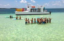 All-Inclusive Sandbar Safari with Dolphin Playground Encounter 